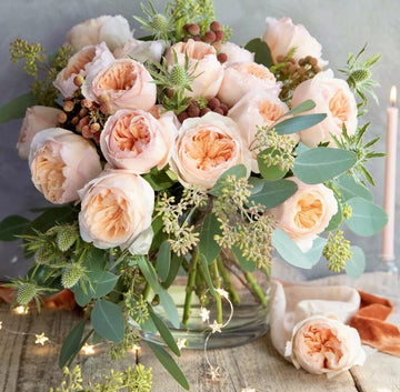 AUSjameson English Rose | Cuttings, Strong Disease Resistance, Own Root/Non-grafted
